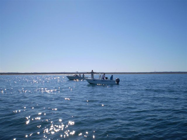 Fishing the gulf 11-10-07